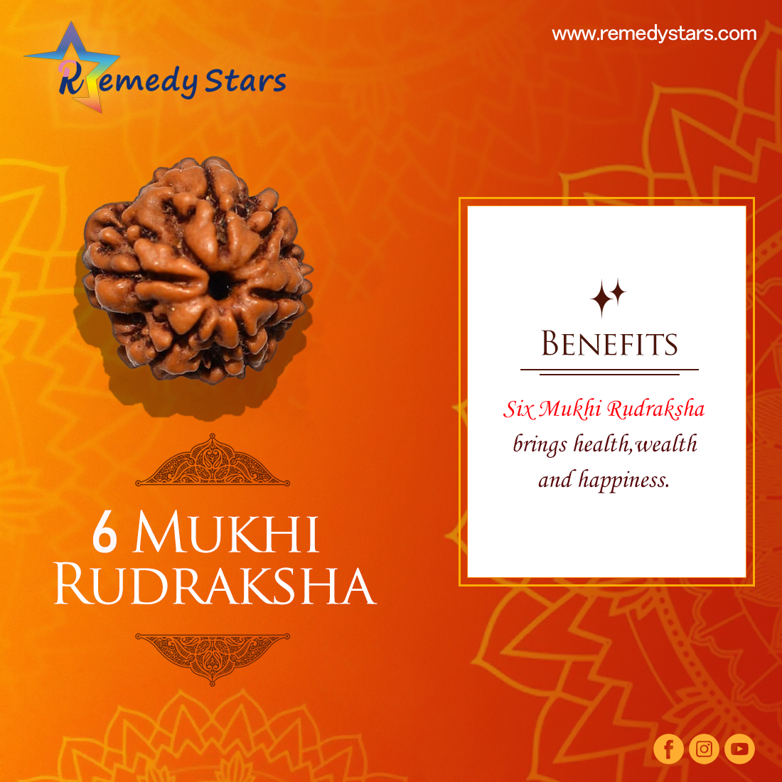 6 Mukhi Rudraksh 