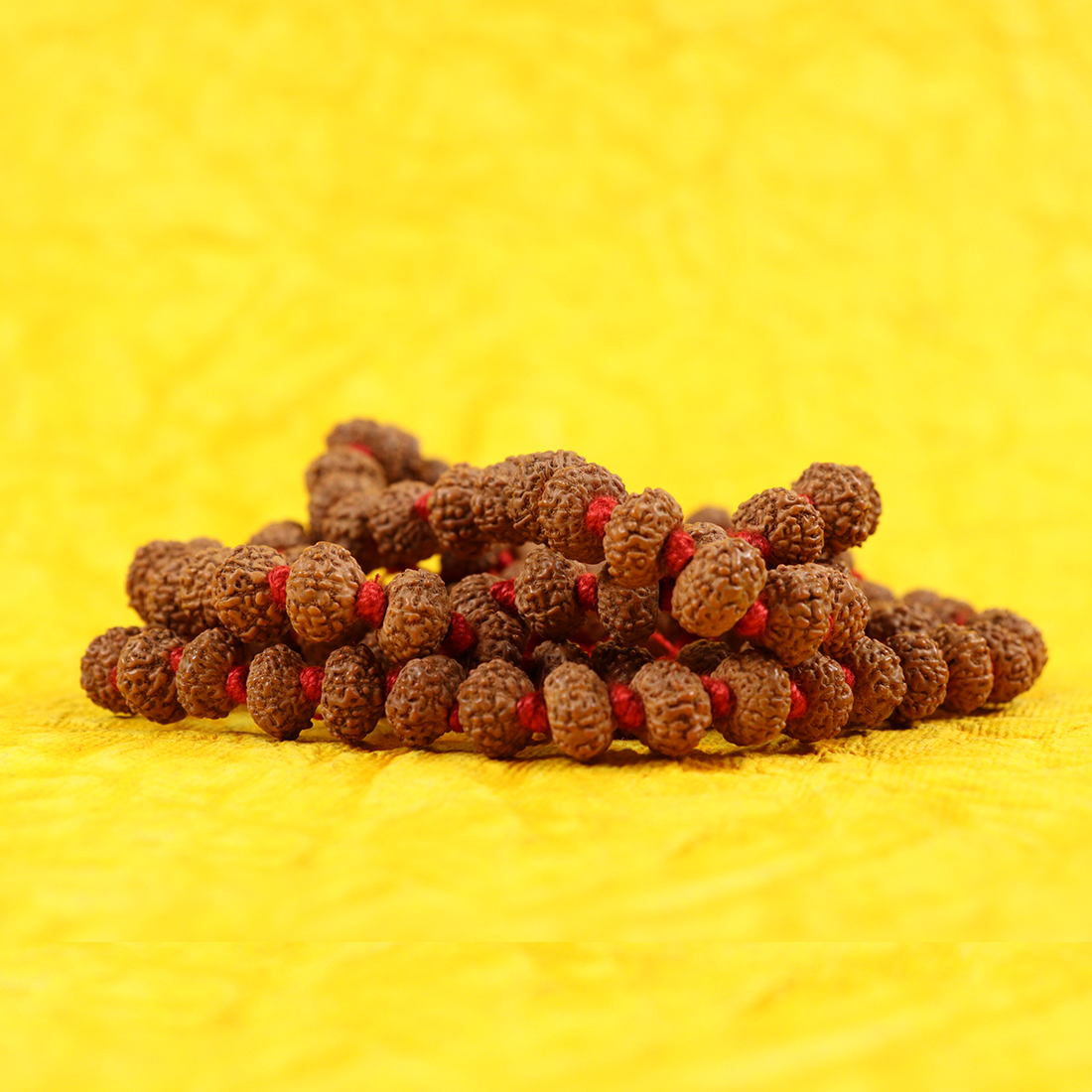 8 Mukhi Rudraksh Mala