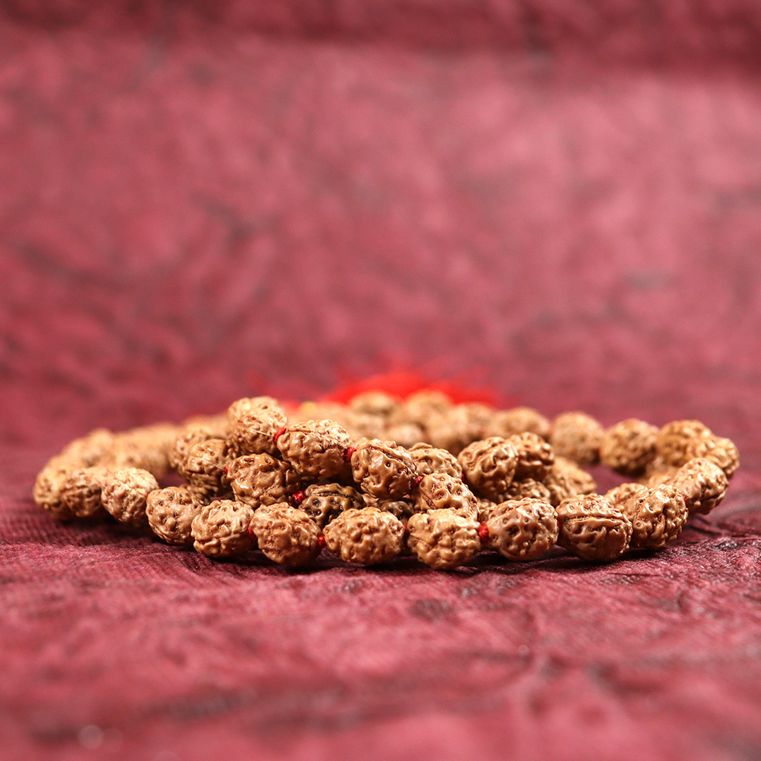 3 Mukhi Rudraksh Mala
