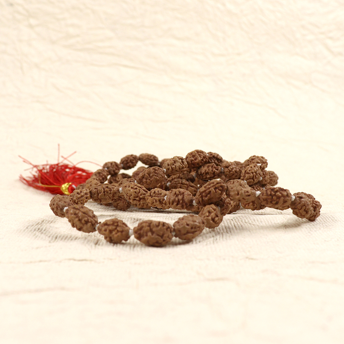 2 Mukhi Rudraksh Mala
