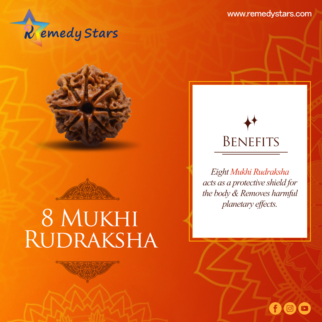 8 Mukhi Rudraksh (Nepal)